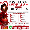 Lost Love Spells Cast by Dr Mulla.png