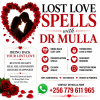 Bring back lost love spells.png
