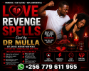 Fast Working Love Revenge Spells.png