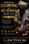 Cleansing and hex removal spells by dr mulla.png