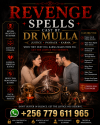 Potent Revenge Spells Cast by Dr Mulla.png