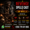 Dr Mulla Insatnt Working Revenge Death Spells.png Dr Mulla Insatnt Working Revenge Death Spells.png