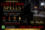 Instant working lost love spells by dr mulla.png