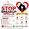 Powerful Breakup spells by Dr Mulla.png