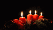 Love-spells-real-genuine-that-work-fast.gif